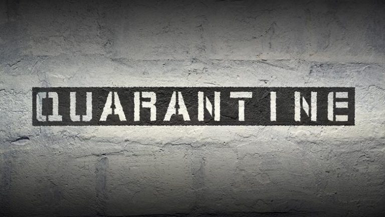 Mailboxes into Quarantine after migrating to Exchange 2019